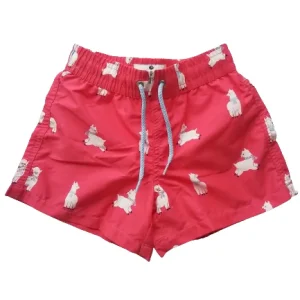 Short de bain motifs lamas