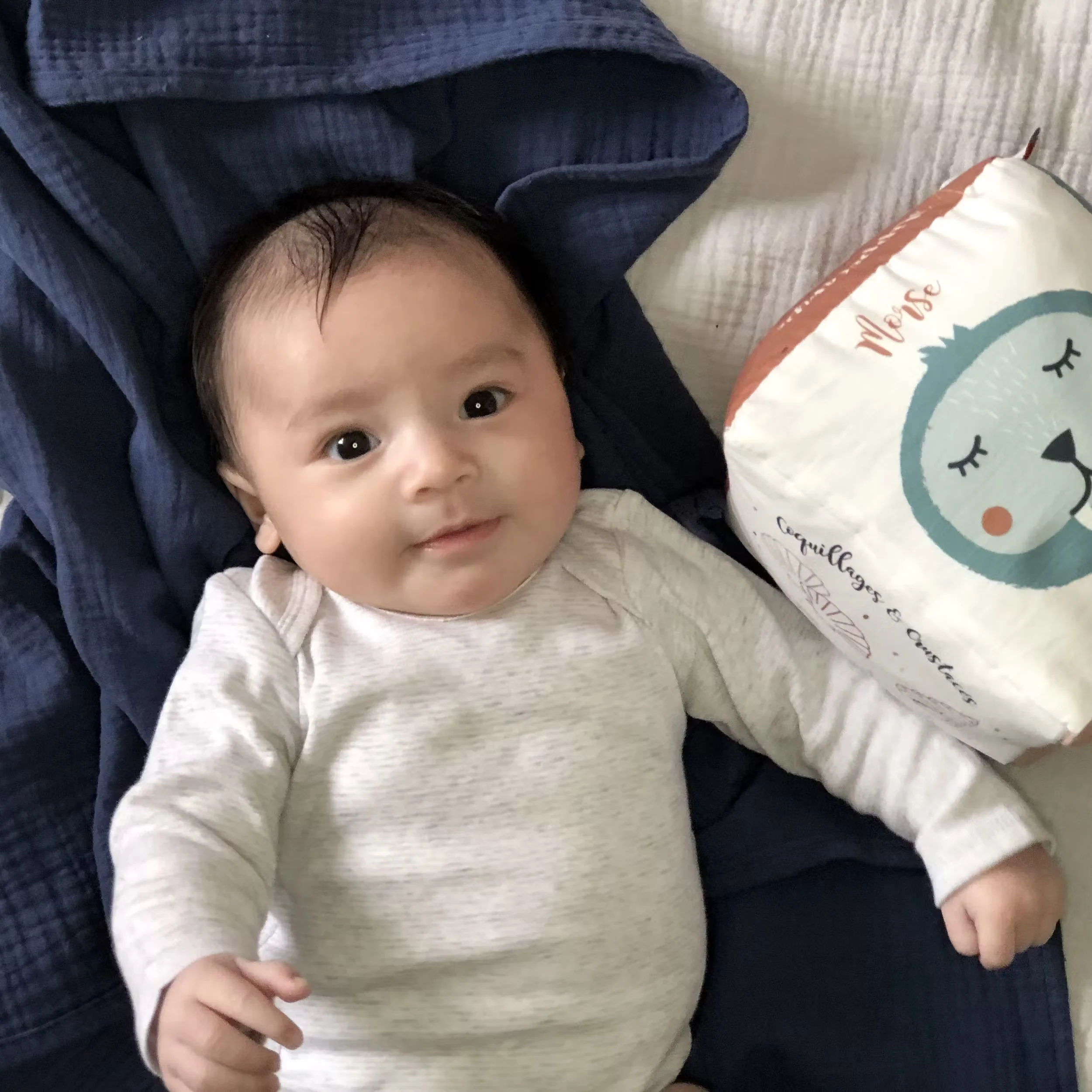 Cube d'éveil Animaux de la Mer en tissu sonore – Image 5