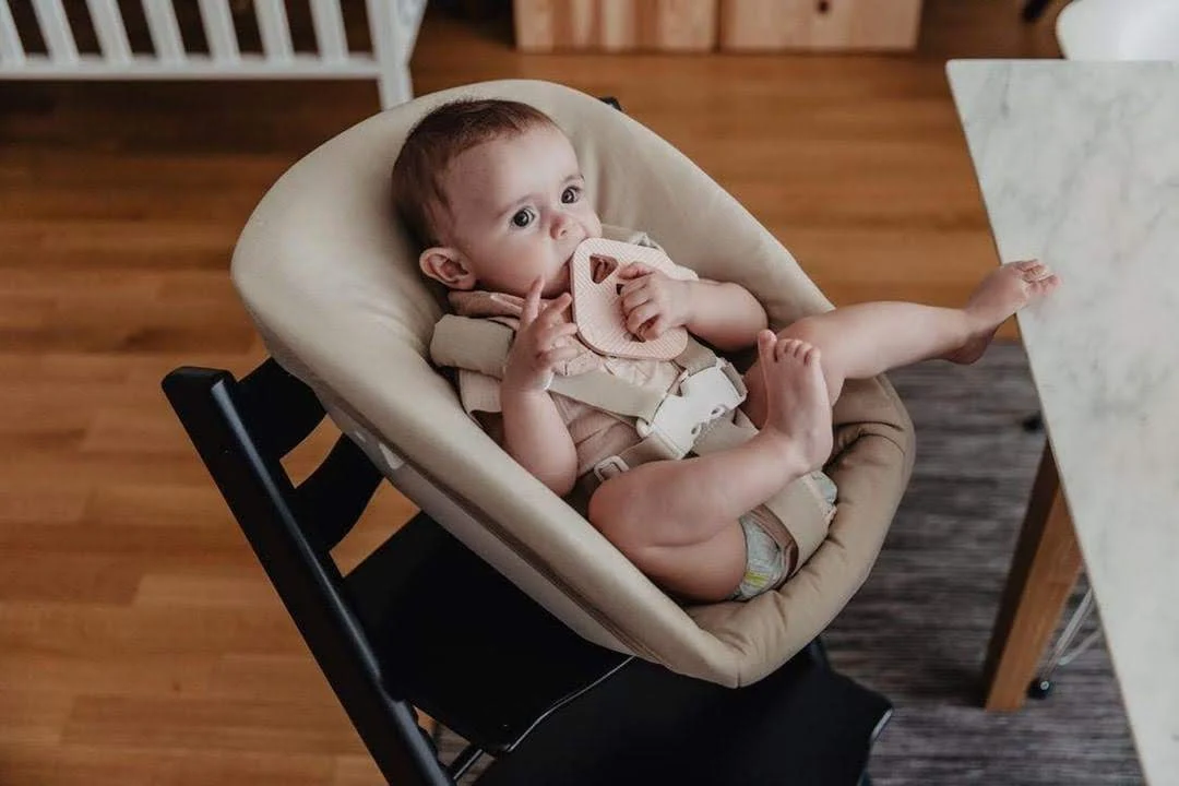 Cerf - Anneau de dentition – Image 6