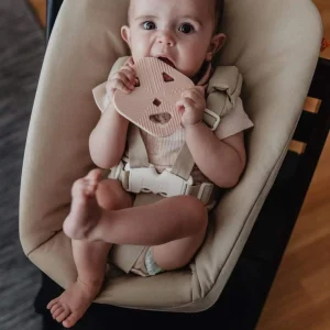 Cerf - Anneau de dentition