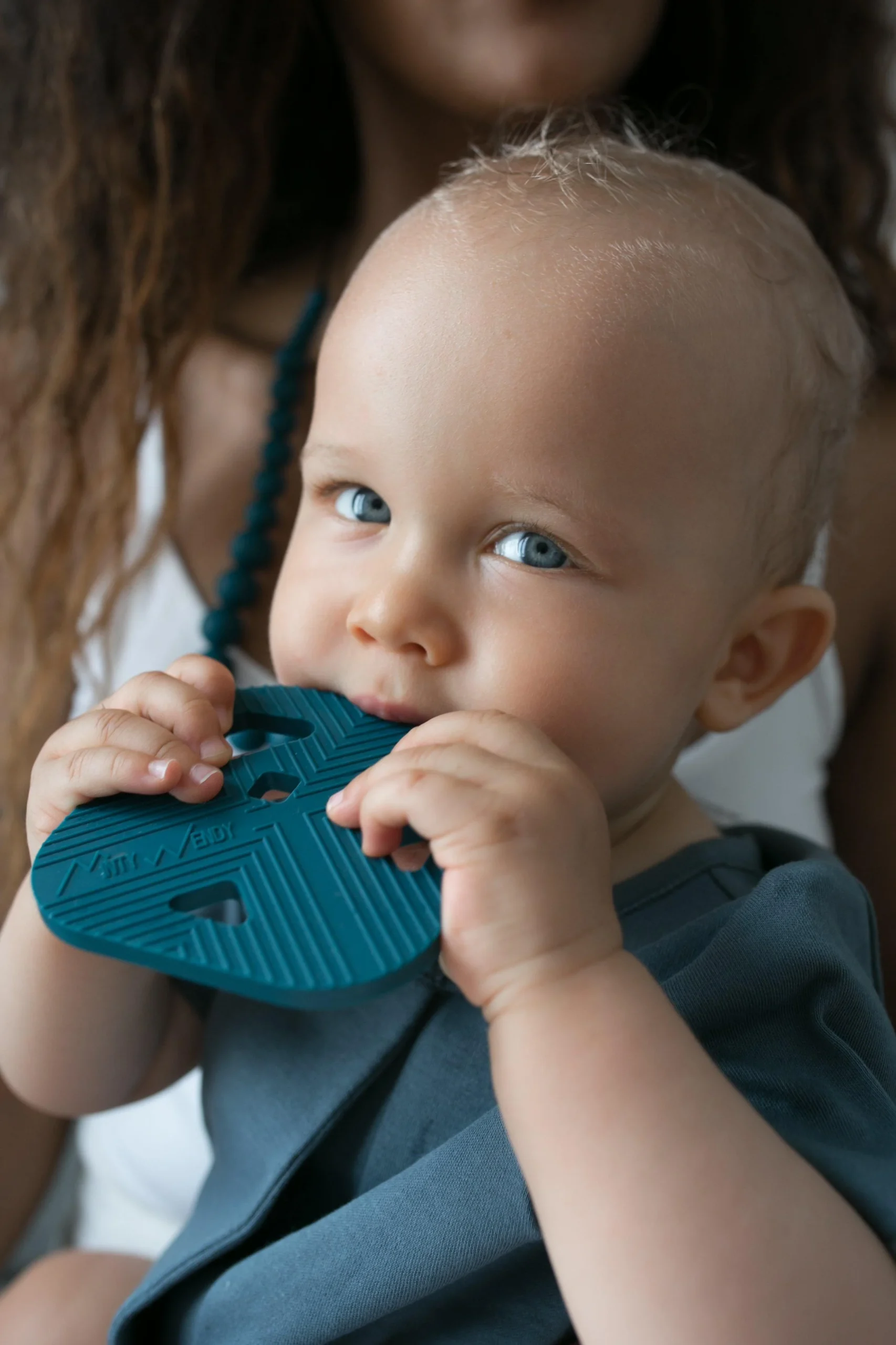 Cerf - Anneau de dentition – Image 2