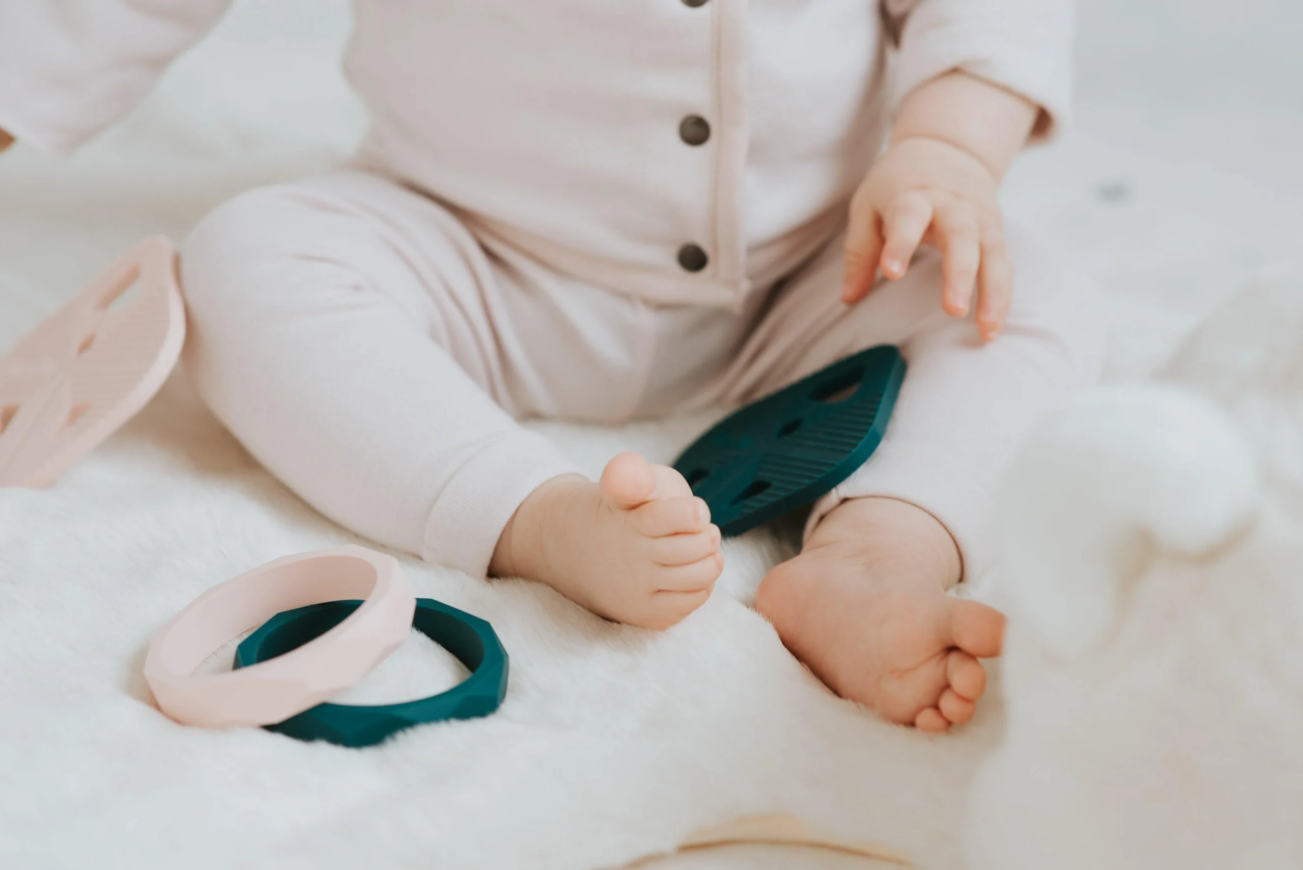 Cerf - Anneau de dentition – Image 8