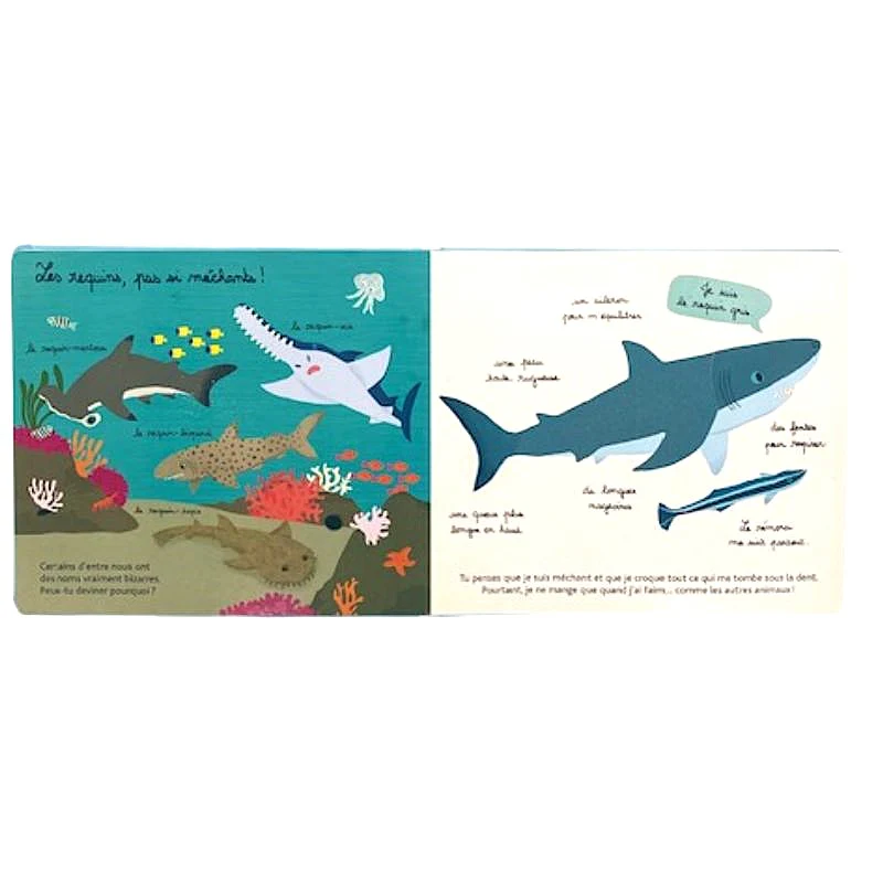 Mes Animaux des mers à Toucher – Image 2