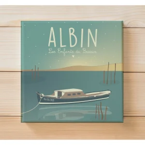 Sur le Banc d'Arguin Bleu